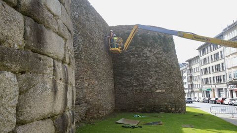 Comenz� la limpieza de la Muralla de Lugo