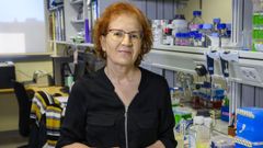 Margarita del Val asegura que los confinamientos selectivos est�n funcionando 