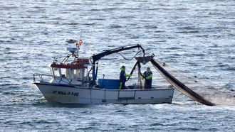 Un pesquero de artes menores recogiendo el aparejo en la r�a de Arousa.