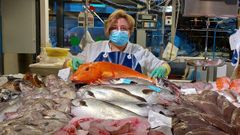 Unos 4 kilos pesa el magn�fico escacho que mostraba Mar�a May�n en la plaza de Ribeira este mi�rcoles, parte de una variada y completa oferta de abadejos, lenguados, sanmarti�os, merluzas...