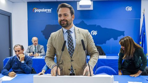 El presidente del PP de Asturias, lvaro Queipo