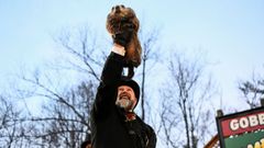 La marmota Phil en su d�a grande