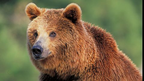 Una de las fotograf�as que participa en la muestra en Trives