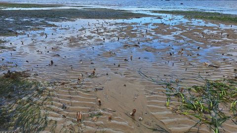 El longueir�n tambi�n est� muy afectado por las lluvias.