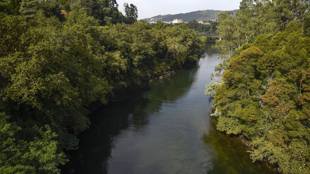 Pontevedra reitera su petición a la Xunta para que obligue a Ence a cerrar su captación de agua