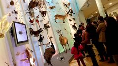 Colas en Santiago para visitar el Museo de Historia Natural
