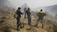 Varios bomberos forestales tratan de extinguir el fuego en Palacios de Compludo, Le�n, Castilla y Le�n (Espa�a).