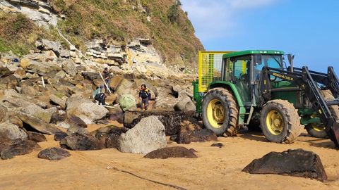 Trabajos para la recuperacin de piezas con galeras de invertebrados jursicos en Villaviciosa