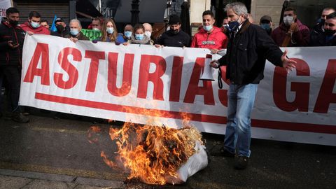 Manifestaci�n de Asturias Ganadera en Oviedo