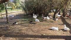 Parque da Lagoa en Mera, Oleiros