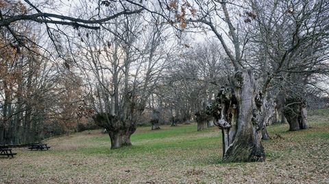 El encanto del Souto de Rozavales es nico.