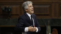 Fernando Grande-Marlaska en el Congreso.