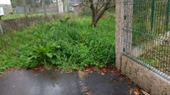 Los vecinos de Ouso�o tambi�n se quejan de que el tramo que est� sin asfaltar est� lleno de maleza.