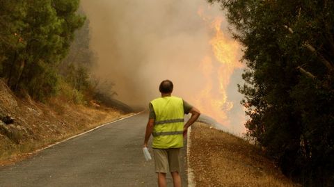 Llamas el viernes por la tarde en las cercanías de la aldea de Alvaredos, en el límite entre el municipio de Quiroga y el de A Rúa