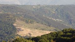 La plantaci�n de At�n vista desde Chantada, en el otro lado de la ribera del Mi�o