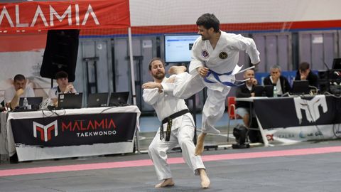 Campeonato gallego de hapkido en el Pabell�n de Barra�a