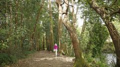 Senda hasta la aldea de Xei, en Noia.