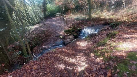 Por una de las mrgenes conviene llevar botas de agua para pasar algunas zonas. 