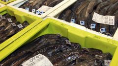 A 6,50 euros el kilo de las merluzas de ms de 1.100 gramos y a 3,90 el de las de menos. As vende este mes Carrefour 200.000 kilos que le compra a la flota de Celeiro