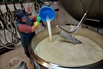 Tanque de leche en una explotaci�n ganadera.