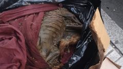 La bolsa de basura con el cad�ver del perro, en estado de putrefacci�n 