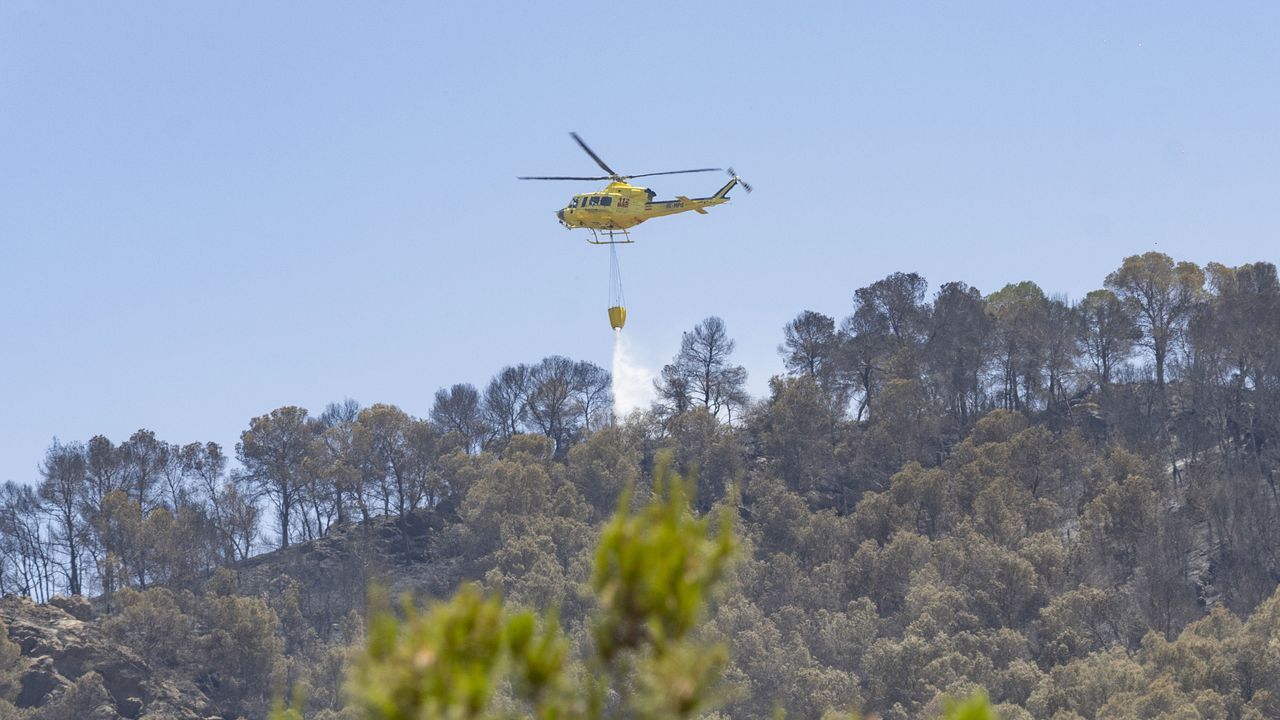 El incendio originado en Murcia el pasado martes se da por extinguido