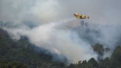 Incendio forestal en A Franqueirn (Ribadavia).
