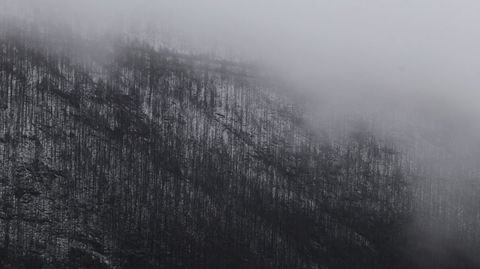 Nieve en una de las plantaciones de pinos quemadas por el incendio de julio del 2022 cerca de la aldea de Vilar do Courel (Folgoso)