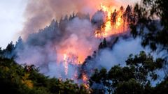 Incendio en el municipio grancanario de Valleseco