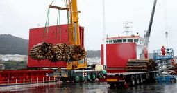 El documento de Portos determina cinco usos del puerto, teniendo como referencia el peso de los sectores pesquero y comercial.