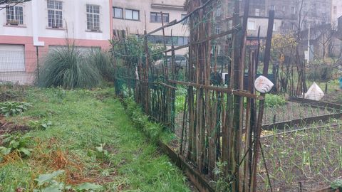 Huertas urbanas en Fontiñas