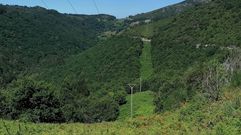 Carballeira de Escuadra, A Lama