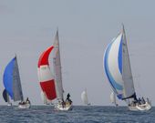 Las regatas Frinsa (imagen) y Ramiro Carregal son las m�s populares del calendario comarcal. 