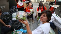 Alimentos recogidos en contenedores por Amigos da Terra y Sustinea