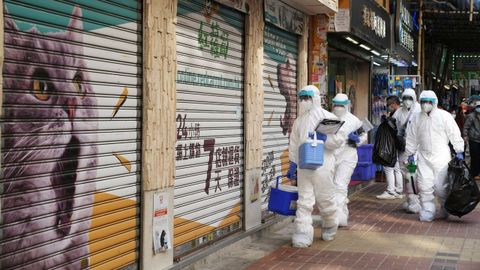 Brigadas en Hong Kong para eliminar h�msteres infectados por covid