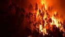�Qu� hacer si te ves rodeado por un incendio forestal?