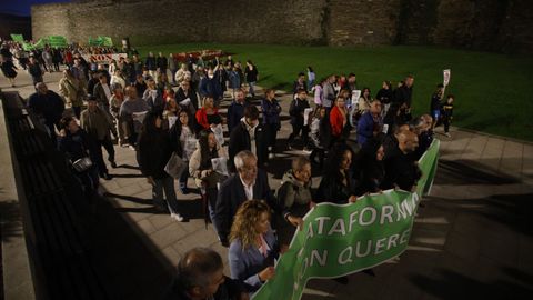 Manifestacin en Lugo contra la planta de Coeses