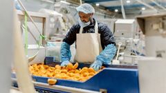 Imagen de archivo de un trabajador de la l�nea de la compa��a holandesa PeelPioneers.