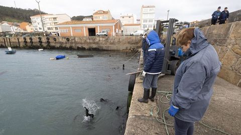 POR TIERRA Y POR MAR. Dos buceadores retiraron del fondo del muelle de Camelle ruedas, nasas y pl�sticos. Por tierra, en los alrededores, otros voluntarios recogieron los desperdicios.