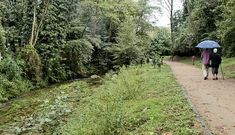 El proyecto abarcar� el tramo entre Tomeza y la estaci�n de autobuses. 