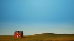 �Cottonwood�, de M�nica Dixon