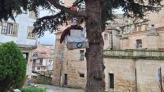 Meco pendurado pola Agrupaci�n Cultural Auriense na praza dos Suaves.