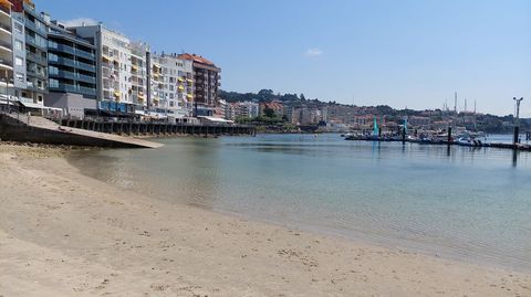 Os Barcos es la playa canina del verano en Sanxenxo, pero solo tres horas al da