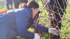 Imagen de archivo de alumnos de un curso de poda