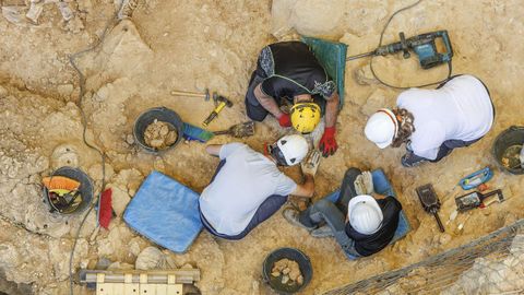 Trabajos en el yacimiento de Gran Dolina de Atapuerca.