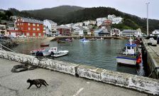 El plazo de ejecuci�n de las obras previstas en el muelle de O Barqueiro es de diez meses.