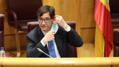 Salvador Illa, en la Comisi�n de Sanidad y Consumo