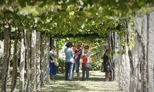 Las bodegas reciben ya la visita de turistas interesados en el sector vitivin�cola. 