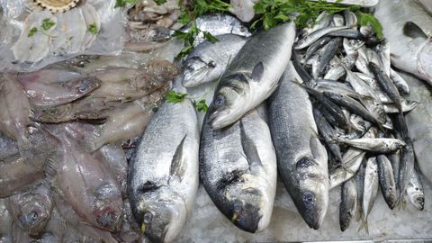 Marisco y pescado en la plaza de Lugo, en A Corua