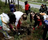 Un grupo de alumnas replantando casta�os en la zona.